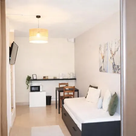 Apartment Groupama Stadium Ldlc Arena,airport
