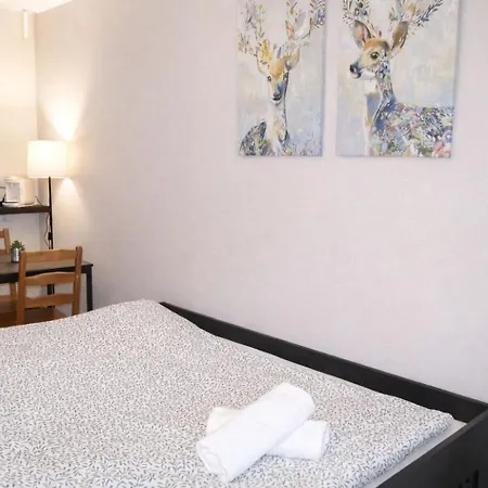 Groupama Stadium Ldlc Arena,airport Apartment Meyzieu