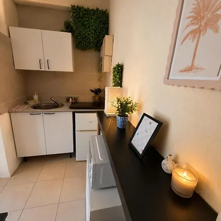 Apartment Groupama Stadium Ldlc Arena,airport Meyzieu